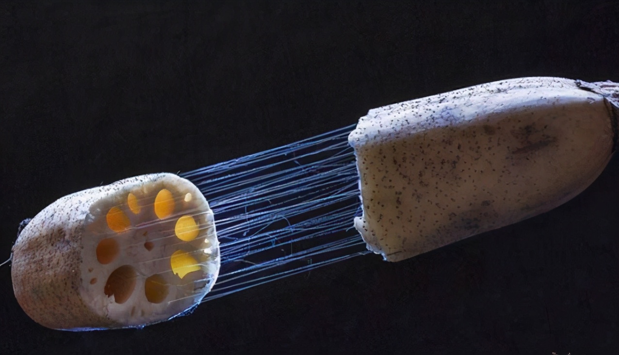 人们常说的：四体不勤，五谷不分，意思是骂人还是夸人呢？