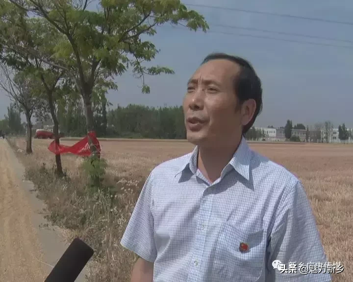 新鄉(xiāng)故事:新鄉(xiāng)縣“三夏”小麥機收喜開第一鐮