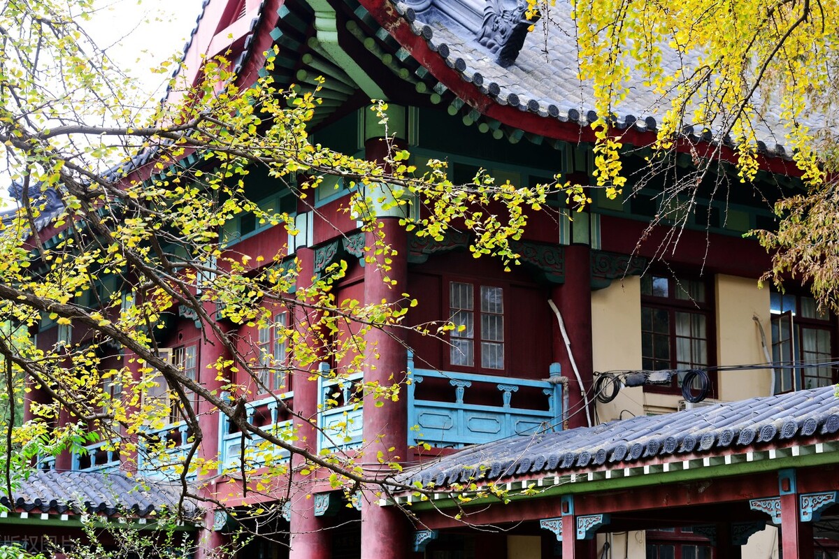 中国最美大学：隐匿在山坡上的古堡式校园VS偶像剧取景地