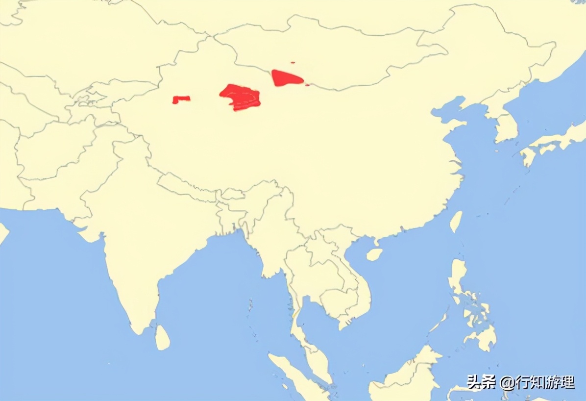 动物世界杯直播标题(「共63题」强国争上游答题中的“动物世界”专题（最全辨析）)