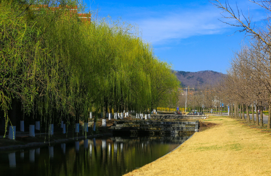 山东科技大学，来了