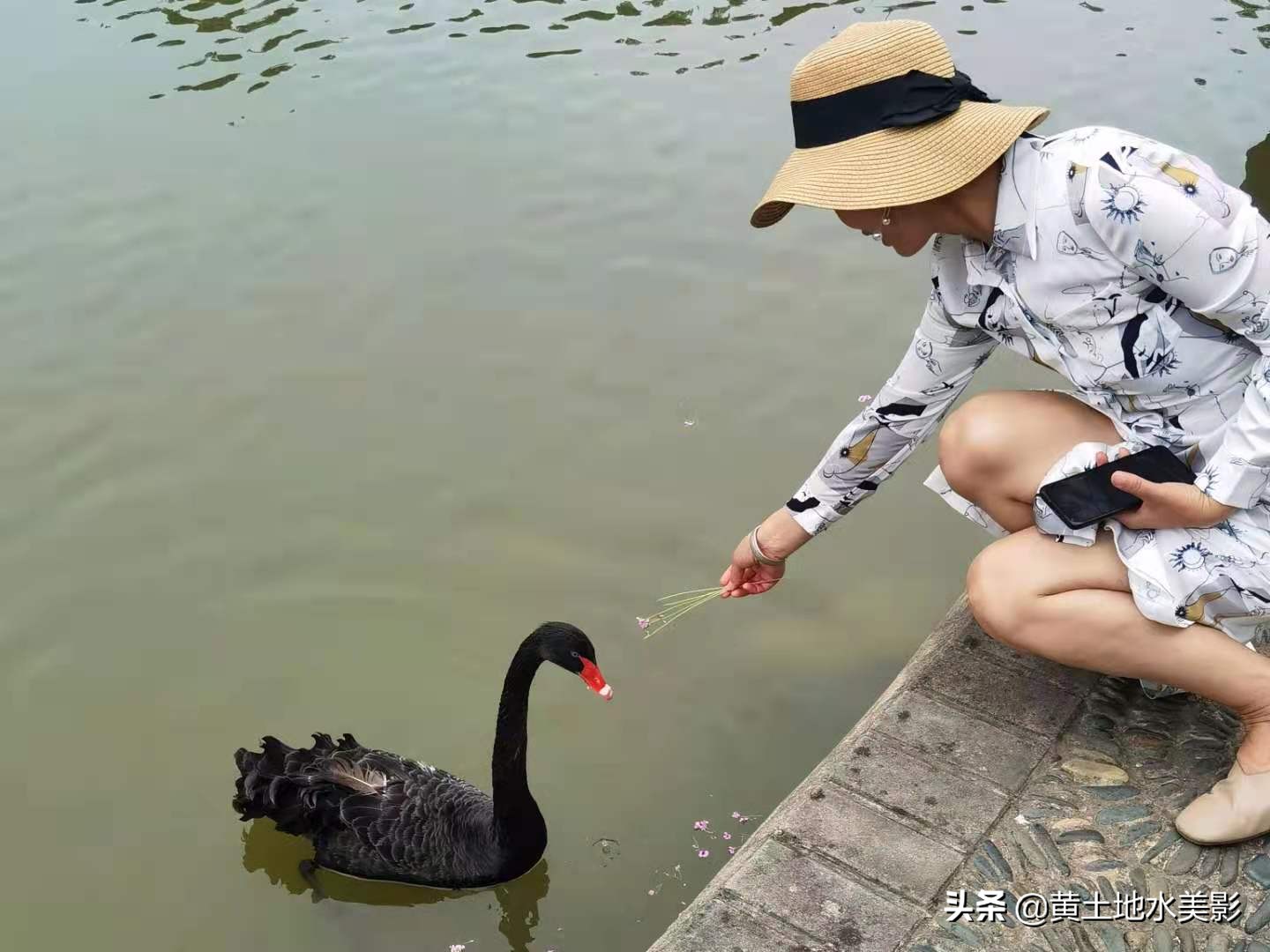 河南这个隋唐遗址上的公园，夏日荷花别样红，游玩消夏很受欢迎