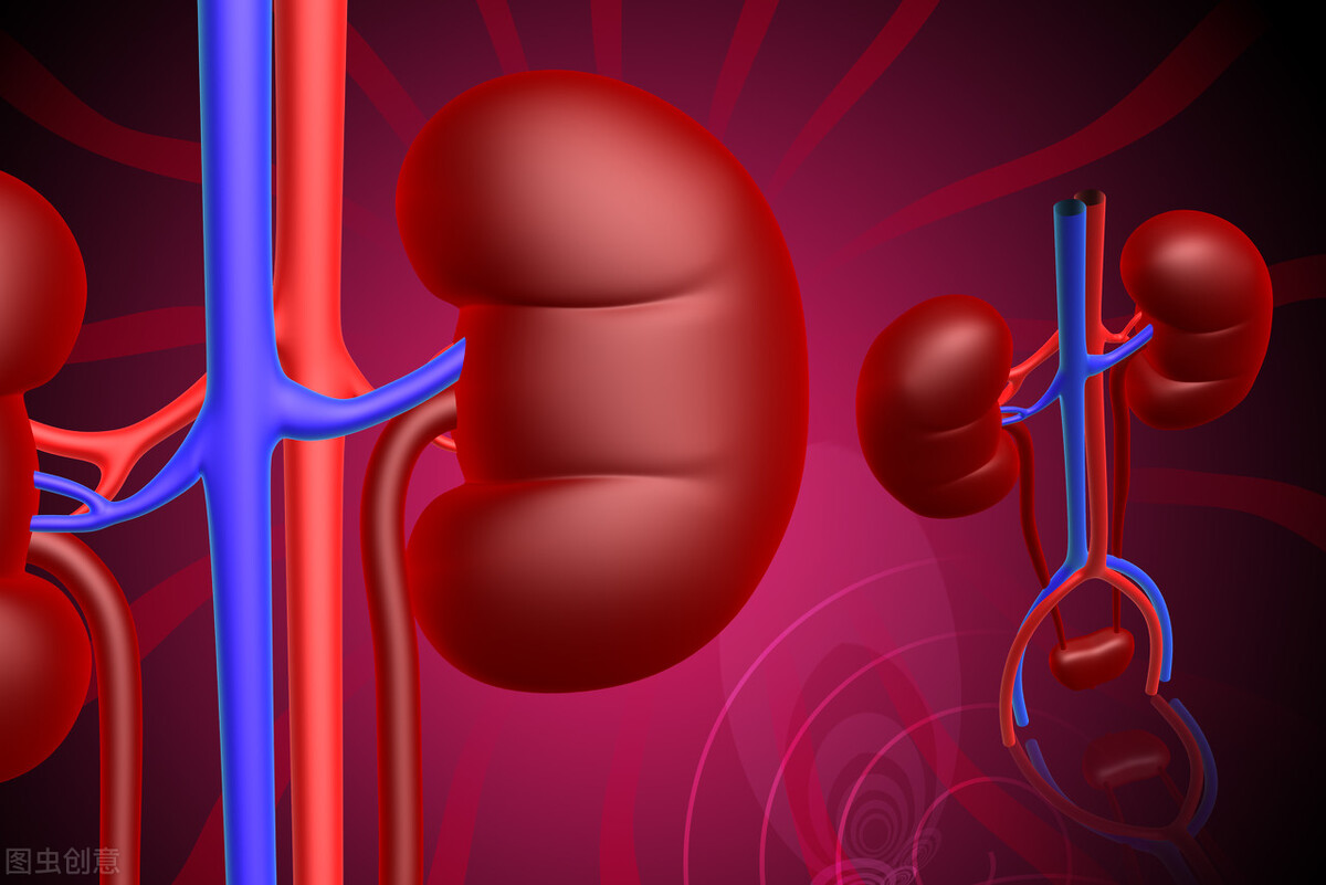 肝臟是很多疾病的起源？ 心臟、眼睛、膽囊…它是這樣影響它們的