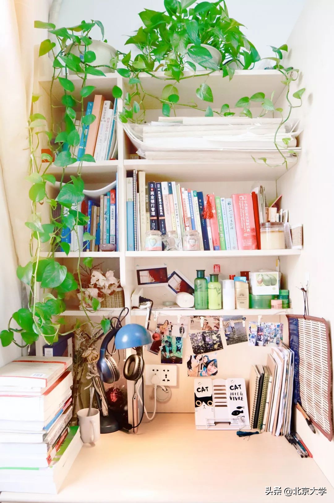 北大学霸宿舍来袭！看看上大学该有的样子