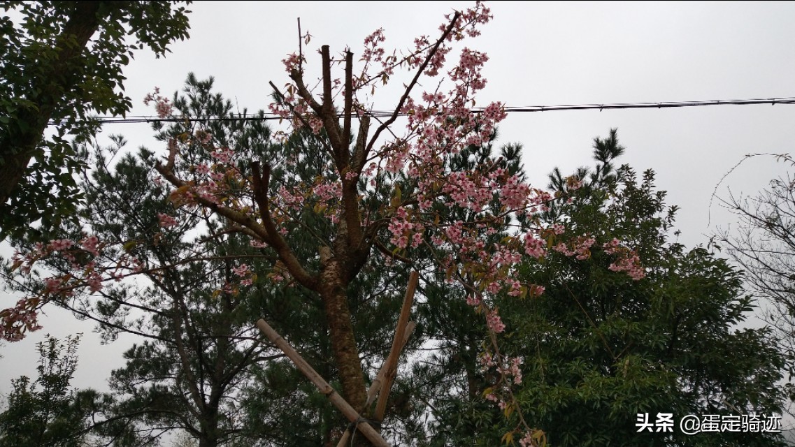 象溪乡菜溪岩