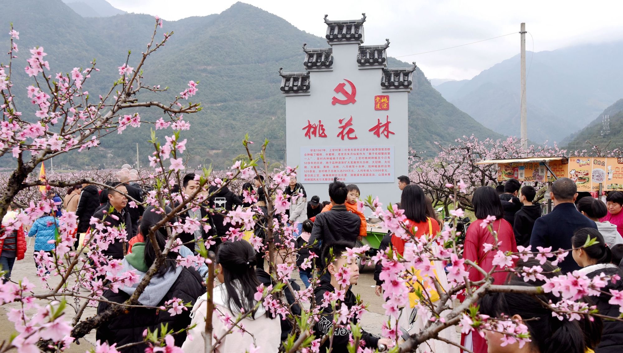 浙江临海白水洋:3000多亩桃花灼灼盛开 引得游人醉带热乡村游