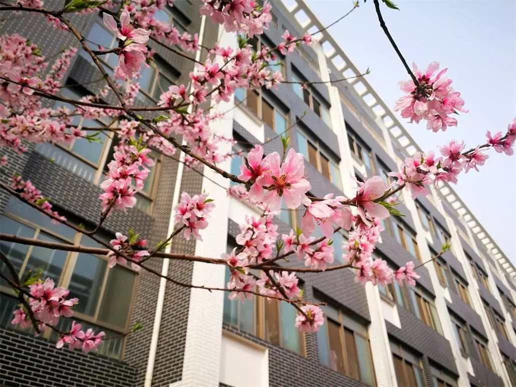 山东体育学院，四年时光荏苒，不会说再见