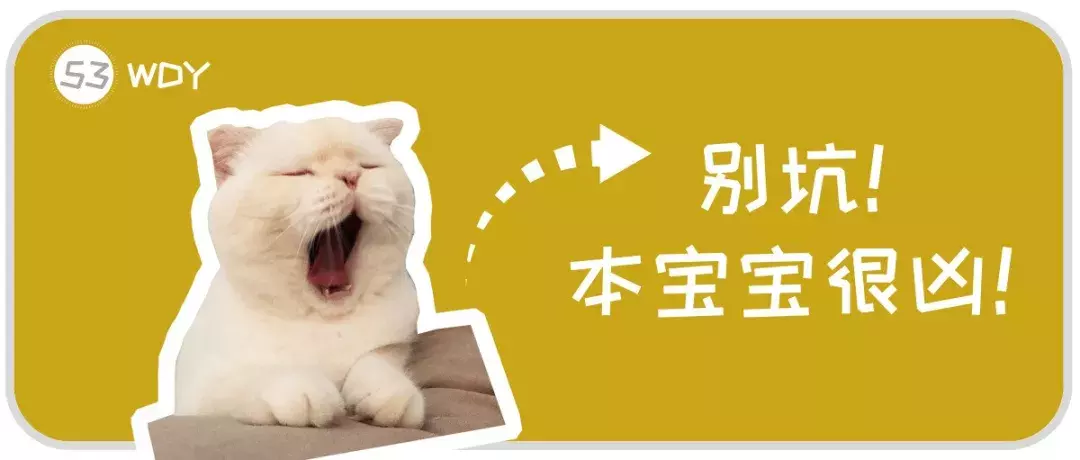 干货:怕被宠物医院坑钱?猫咪做这些检查项目有必要吗?建议收藏