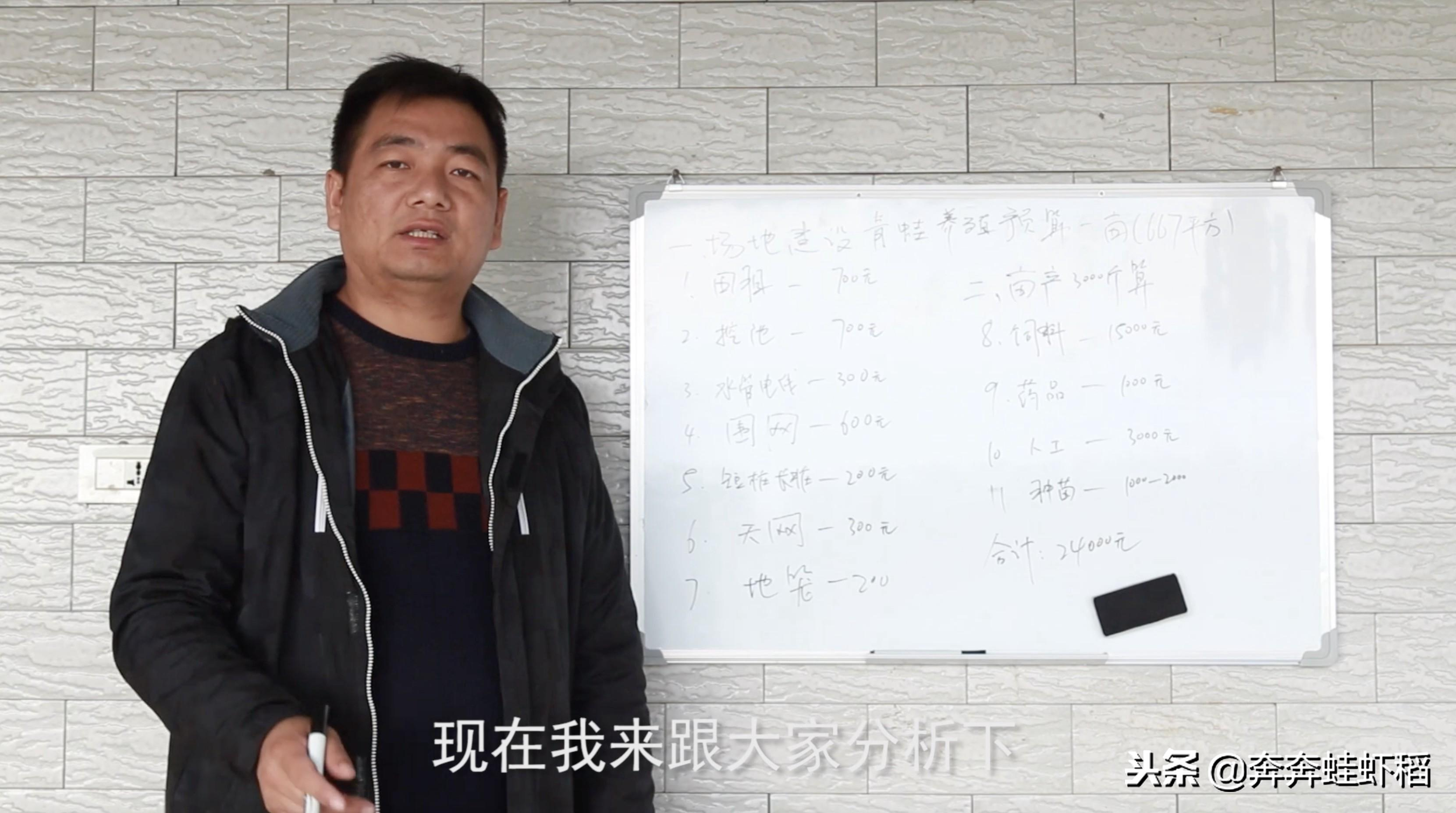 青蛙養殖成本,青蛙養殖一畝要多少錢