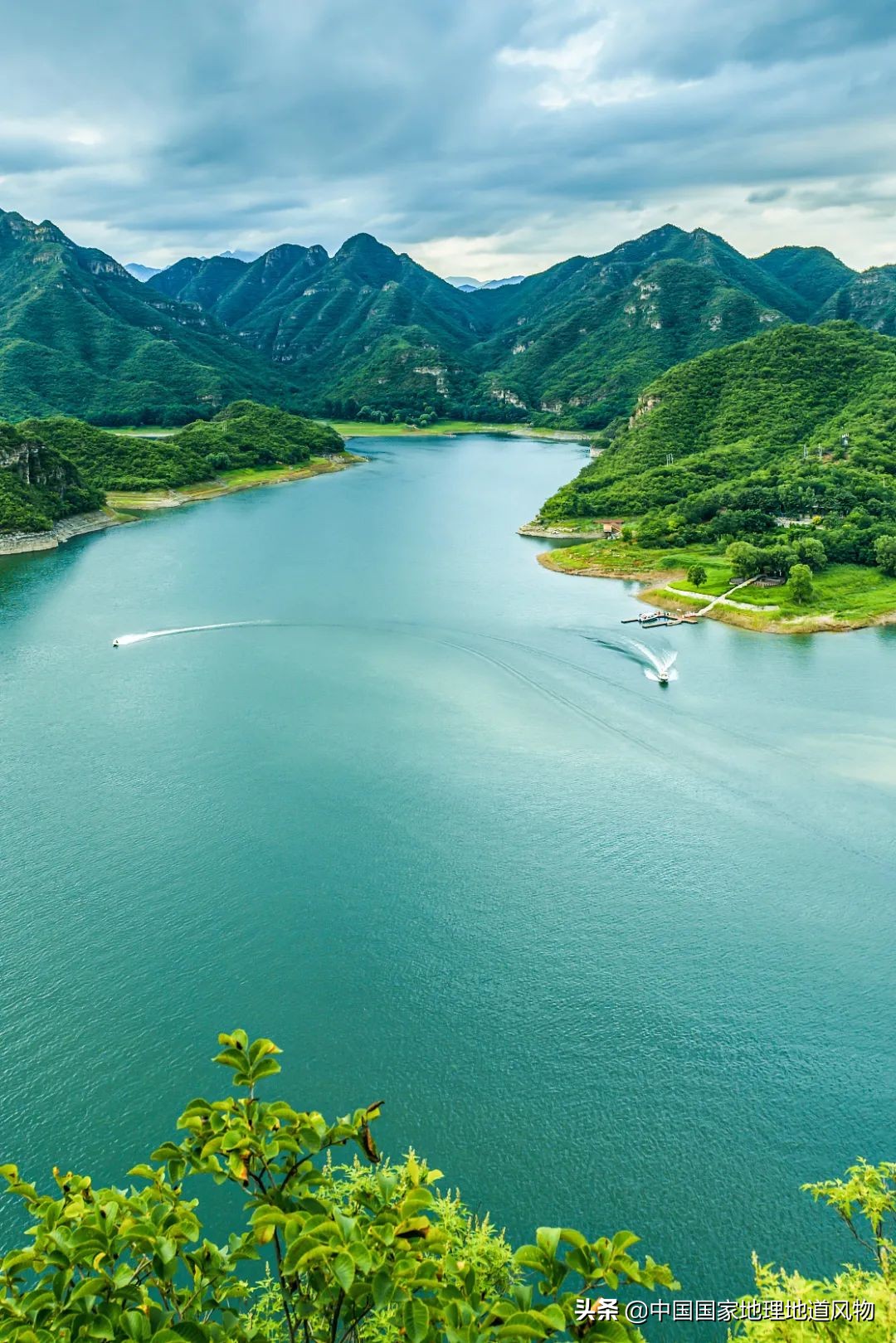 这座爱吃“驴火”的城市，究竟出了多少冠军？