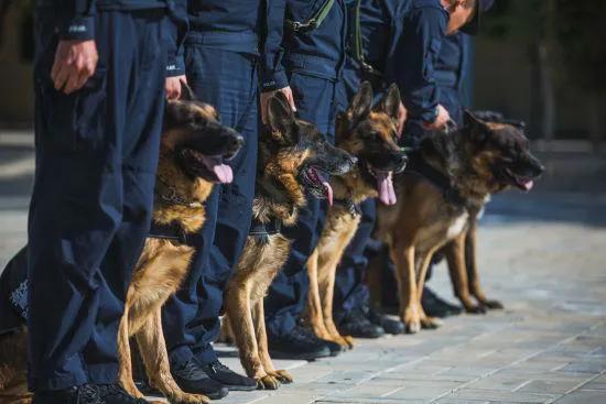 《犬诗十卷》第四卷·警犬