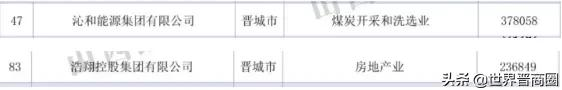 鹏飞集团成2021山西民营企业百强黑马,潞宝集团坐稳老三位置,