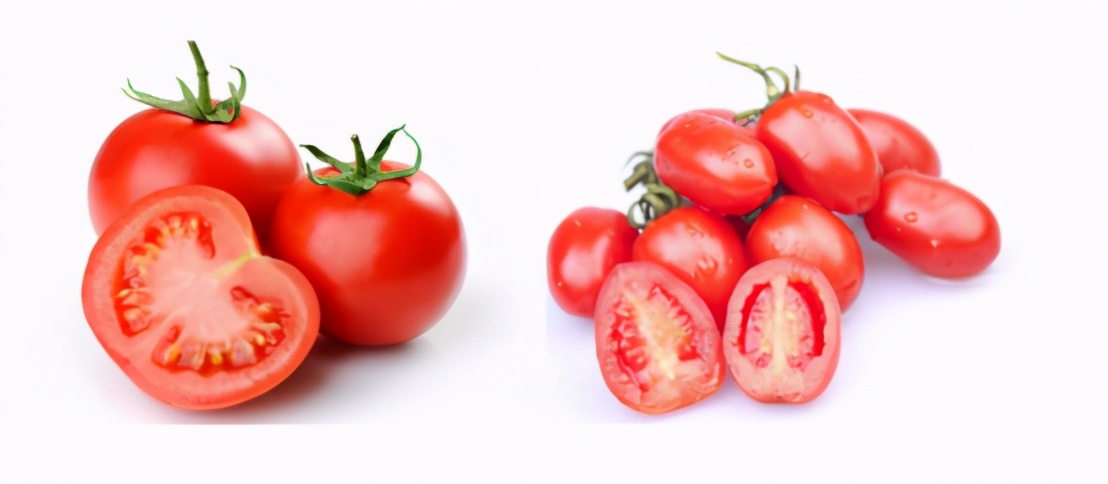 吃小西红柿可以减肥吗（番茄和圣女果减肥期间应该怎么选）