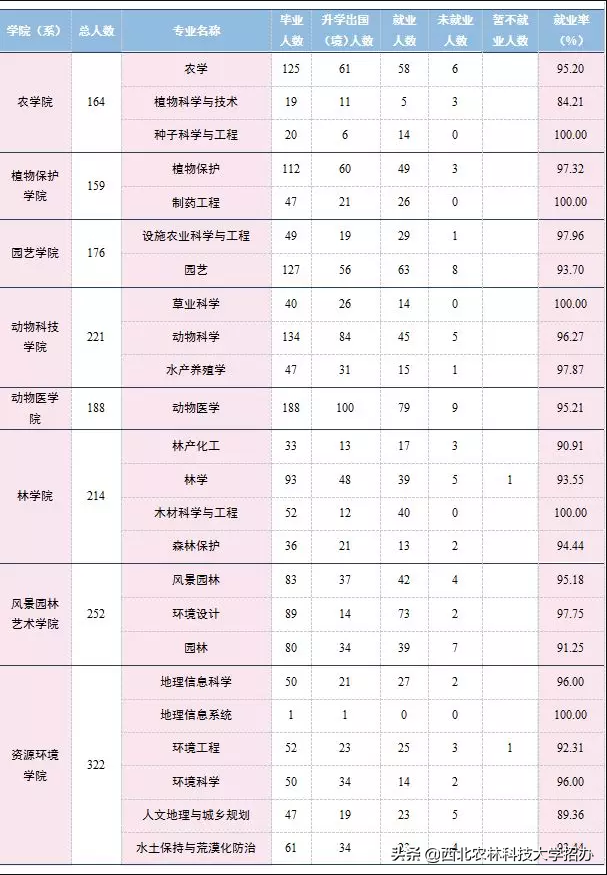 25个专业就业率100%，世界500强都来