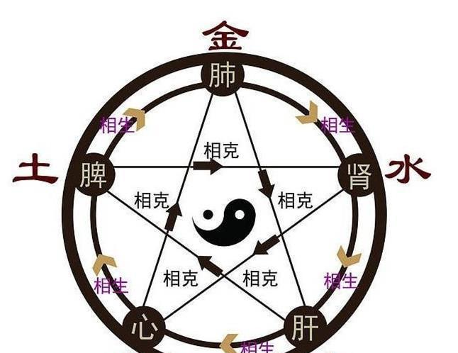 中医的五行与五脏,为什么肝会属于木呢?