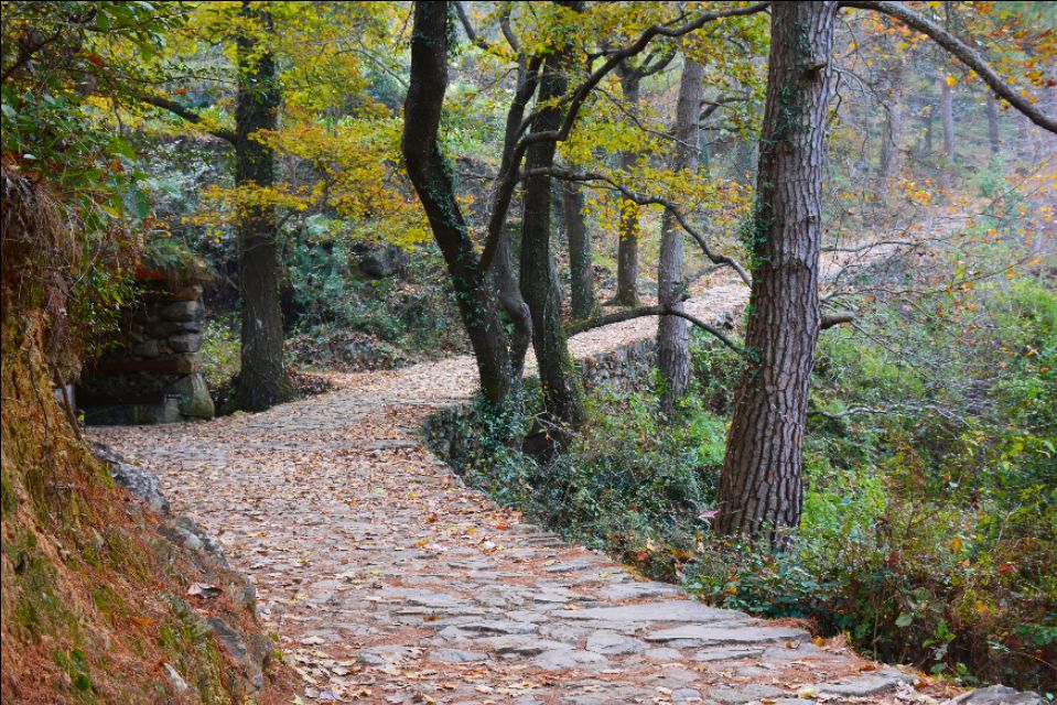 南黄古道——一个隐于浙东山区的清新小众好去处