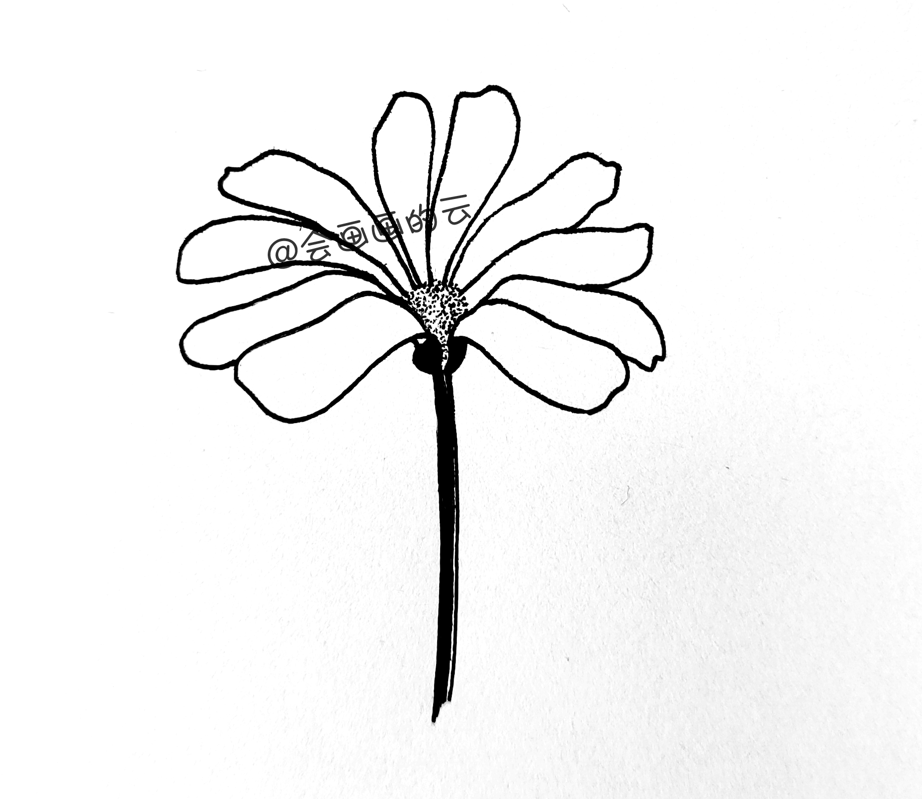 小花怎么画初学者(超简单的花朵画法教程)