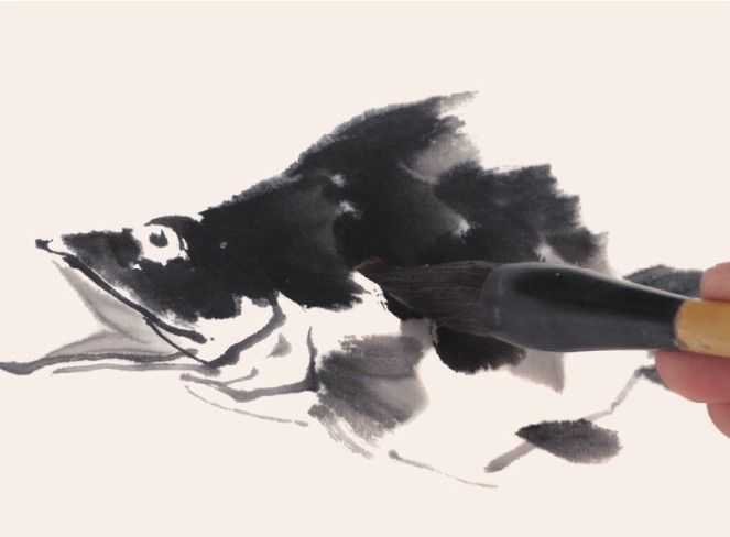 零基础水族的画法：怎么样用双勾发画金鱼鲤鱼？学会几分钟一幅画