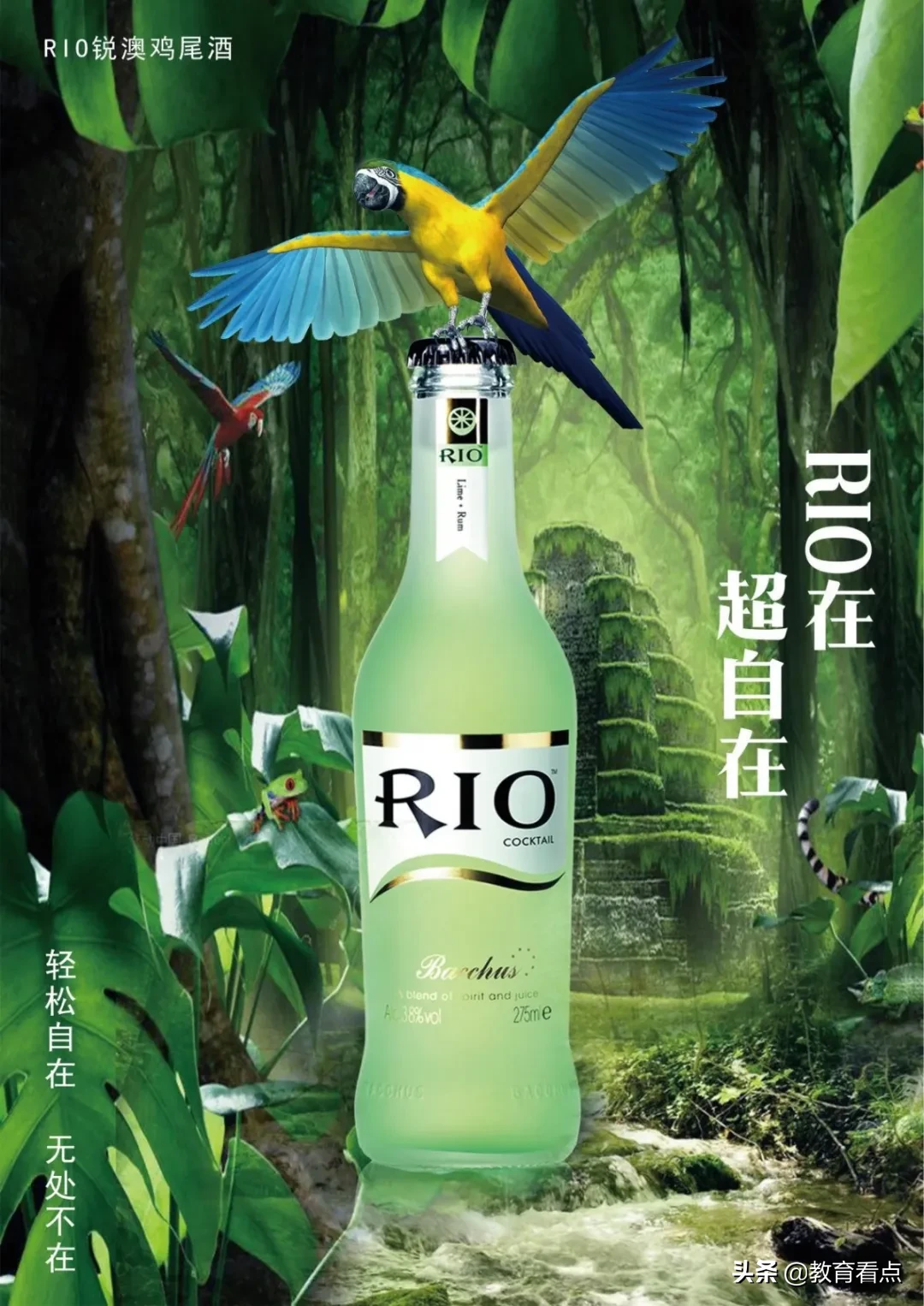 广州南洋理工职业学院|服装与设计学院2020年春季招生