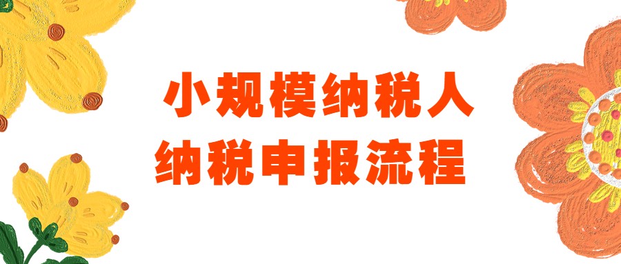 民间高手！女会计把小规模纳税申报流程，汇总成21页，学会不求人
