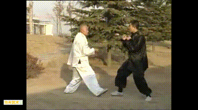 汤瓶七势拳格斗精华：中原第二狠拳，现代散打拳法的雏形