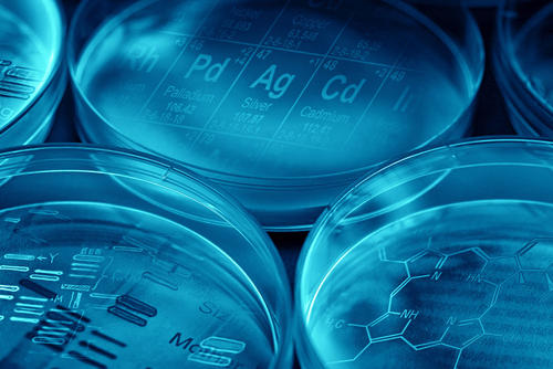 浙江大学材料科学与工程学院（材料科学最新榜单）