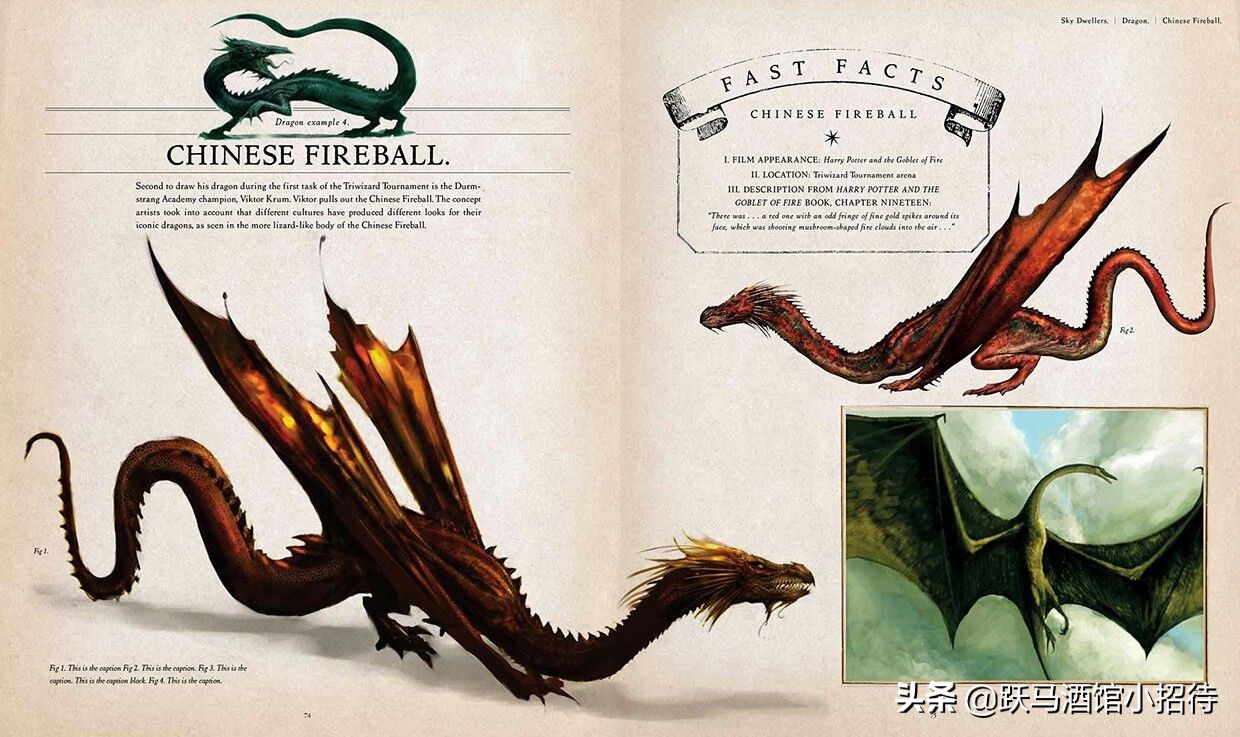 给麻瓜的《神奇动物百科》，魔法世界的动物到底有多神奇（长文）