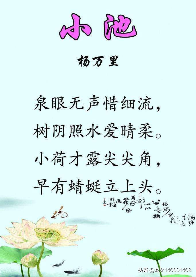 《小池》原文译文及赏析