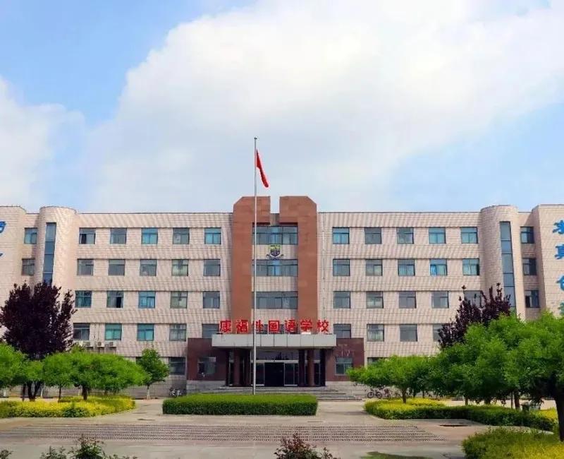 康福国际诚招中小学各科教师