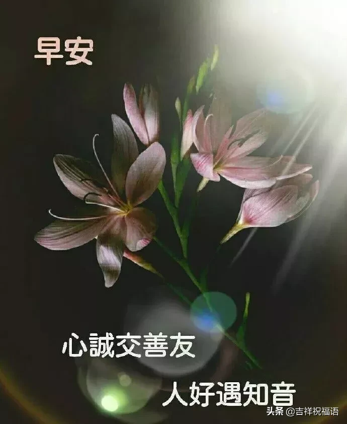 生活就是一场修行，修自己的耐心、恒心、平常心。早安