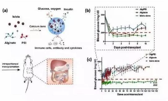 建校124年！本期推送，就是过去1年天津大学的