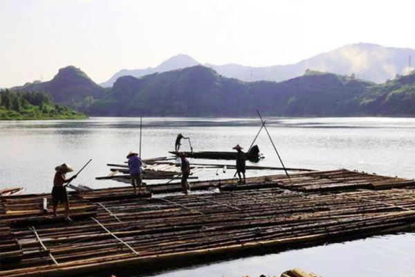 杜甫在《登高》中写“无边落木萧萧下”，为何是落木，而非落叶？(无边落木萧萧下的平)