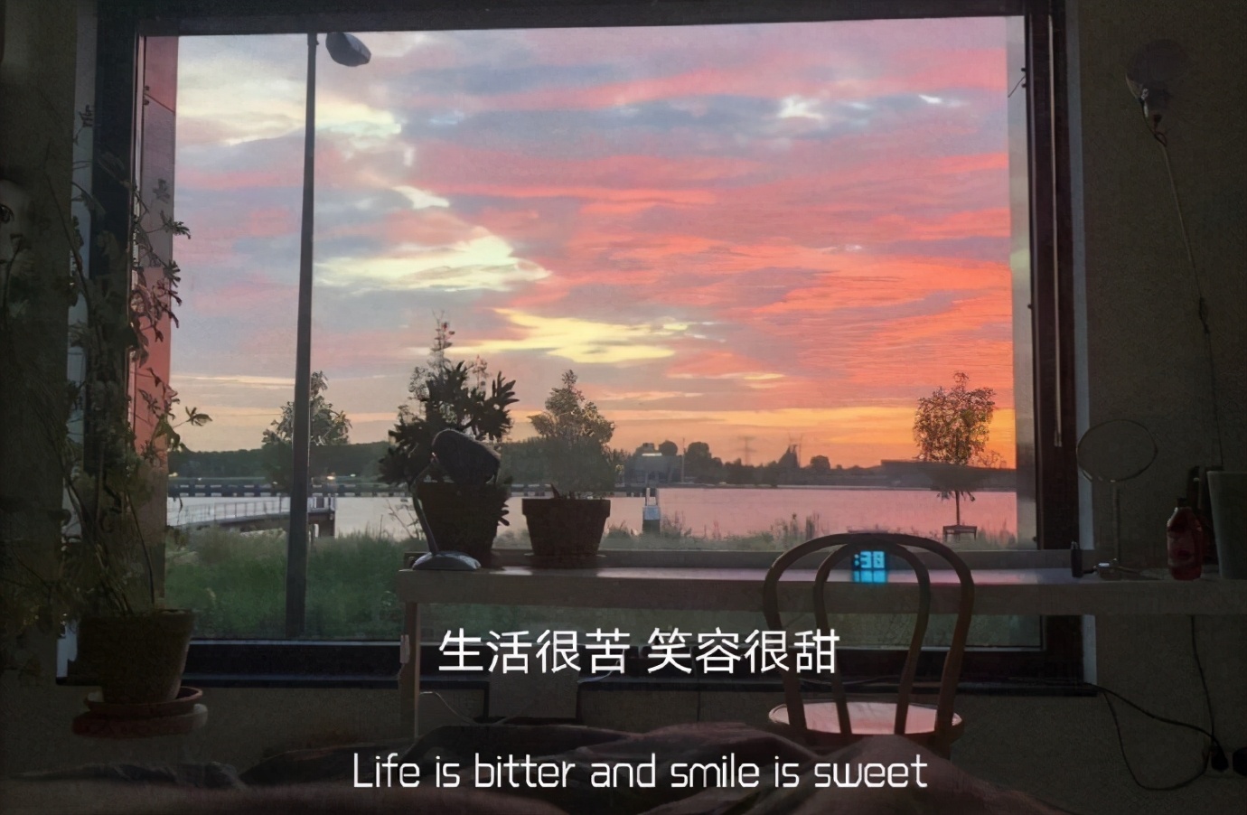 文案|"生活很苦,笑容很甜"