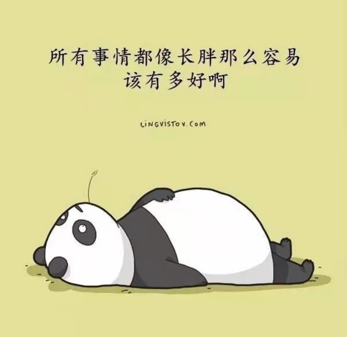 “文案小天后”有话说！怎么写卖货文案？让人主动找你买产品