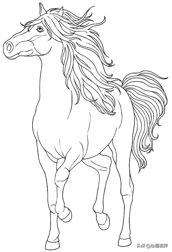 马很难画?从造型到线条,10种马的画法高清线稿教你画,快临摹