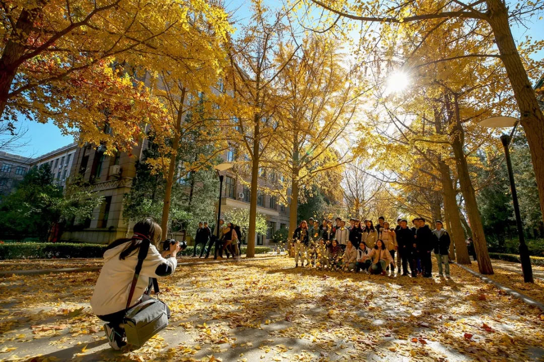 全国43所农林类本科大学，分三档，有哪些就业好的专业？