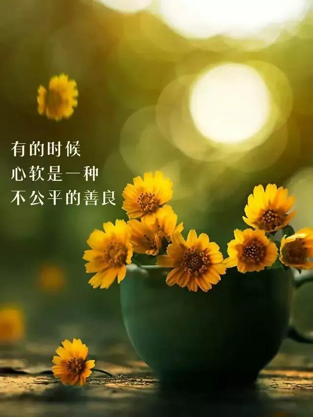 上善若水～让善良自带锋芒