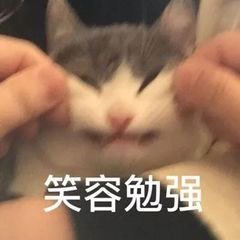 猫咪斗图表情包合集 你这是想干嘛呀