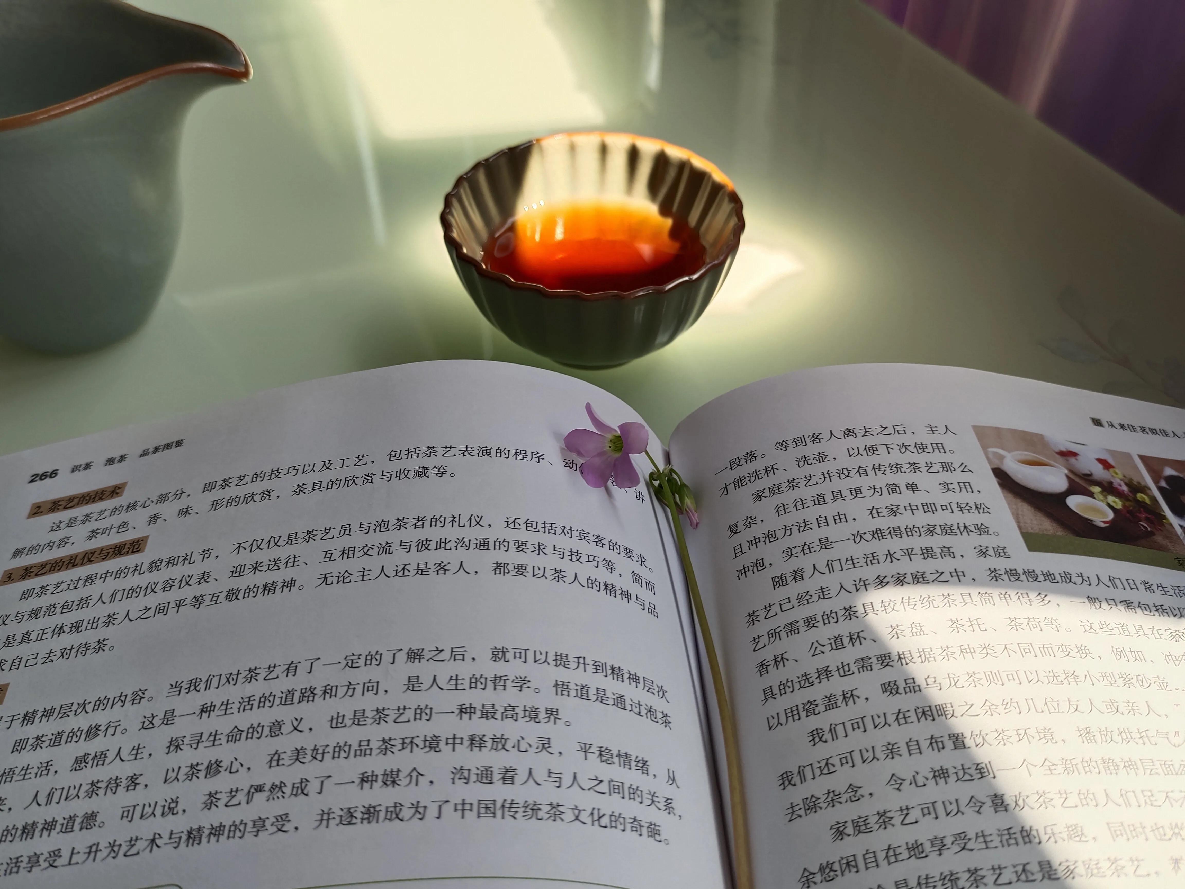 一盏茶，一本书，一世芳华