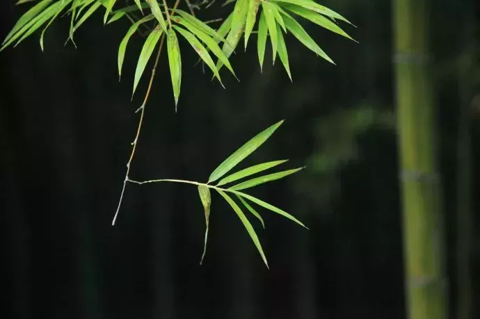 曾国藩：贫穷时要有尊严，富贵时要有谦卑