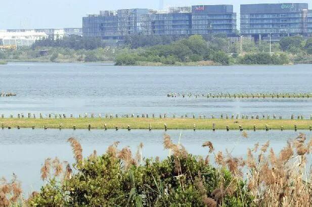 深圳十大免费特色的湖泊公园