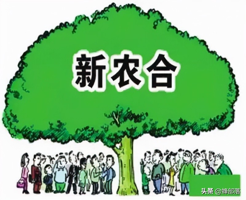 2022年农村医保9月开始缴费，2类人免交，3种缴费方式