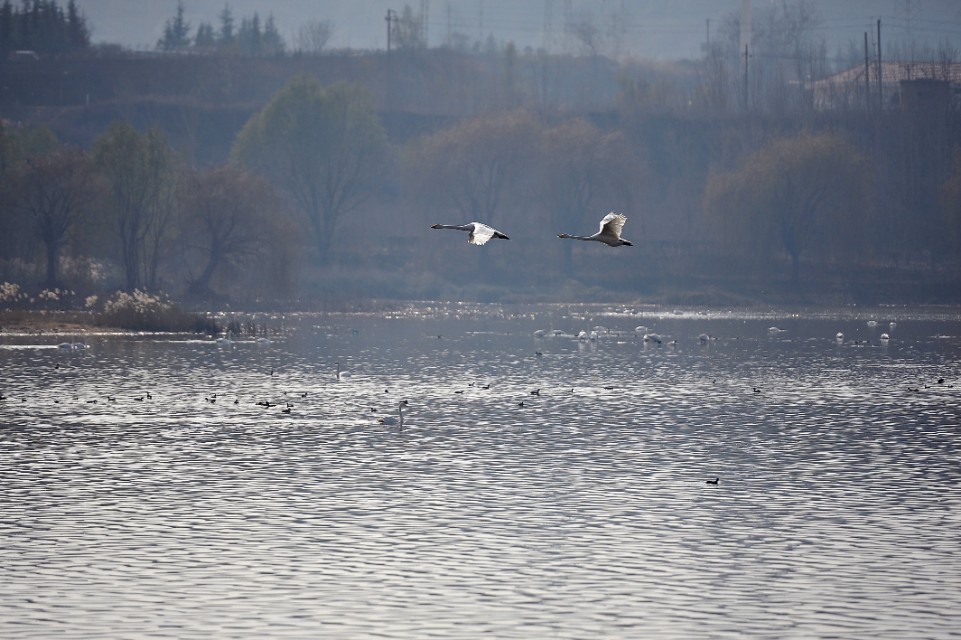 河南三门峡拥有两所高校，黄河明珠，计划一本三专！