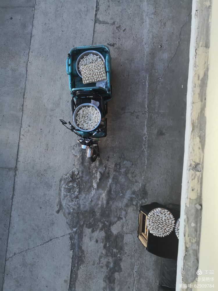 吴艳华：《冬至时节话饺子》