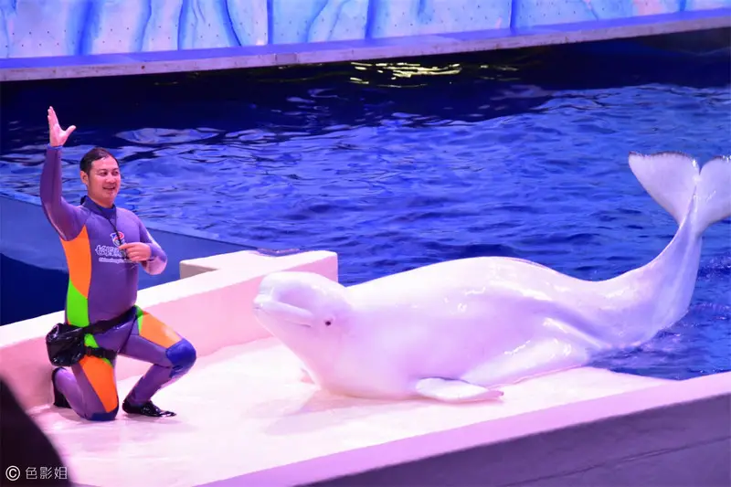 长隆欢乐世界旅游攻略景点必去（三天三夜欢乐长隆之旅）