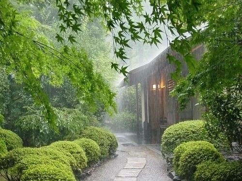 雨丝如诗，轻吻大地，润物无声，织就天地间最柔美的画卷。