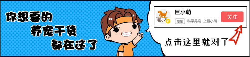 想和狗狗一起工作？关于狗狗的工作，仅仅爱狗可能做不好