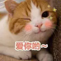 养猫必备小药箱：这些药物效果更好，但不会有人告诉你