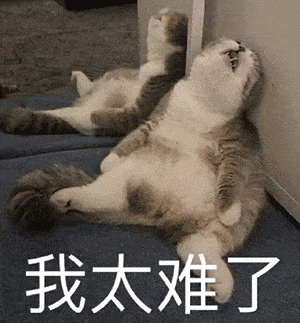 10款大牌眼線真人評測，值得買的竟然都是便宜的