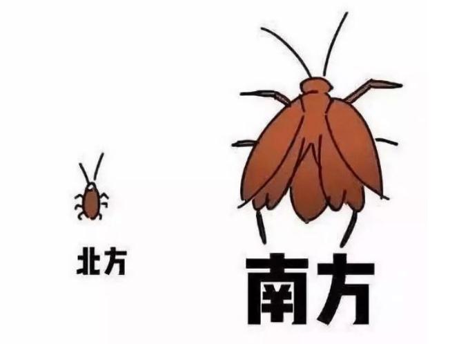 南方上大学和北方上大学，有啥区别？这5张图过于形象，太真实了